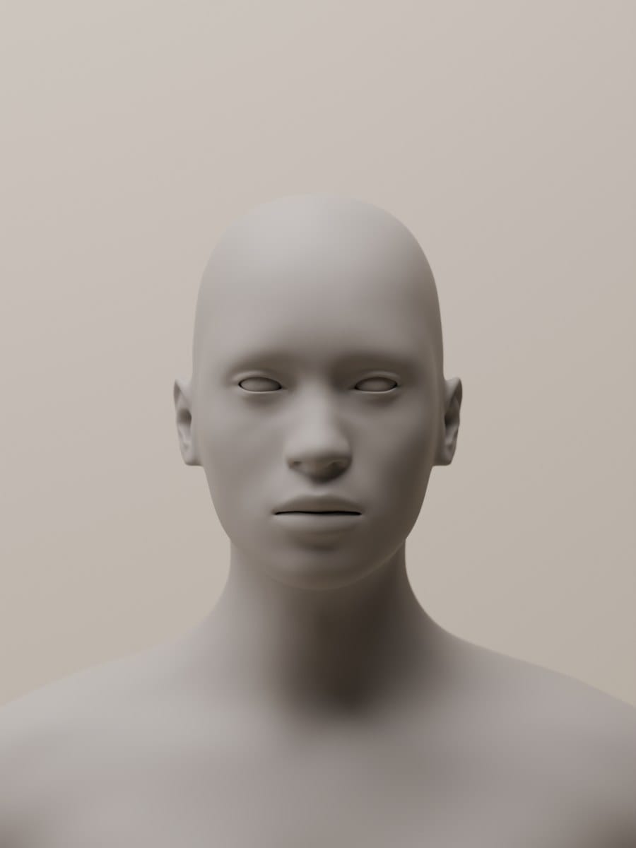 Render of a grey clay head. Broad daylight from a glass roof overhead and a tall side window, both softened with blinds, on a pale backdrop (the light of the studio, not the albumen print).
