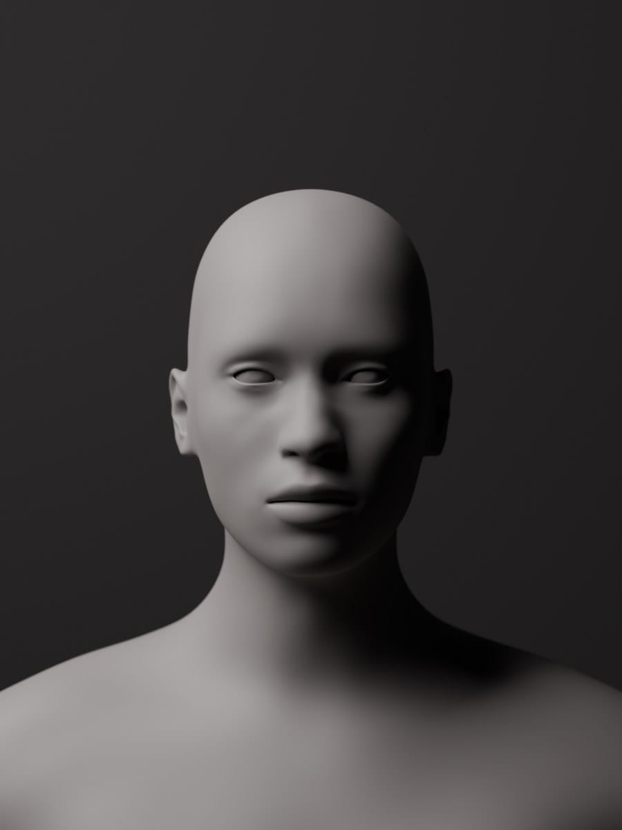 Render of a grey clay head. One large skylight high to the side and close to the sitter, screens holding it off the far side, a dark backdrop (the light of the studio, not the silvered plate).