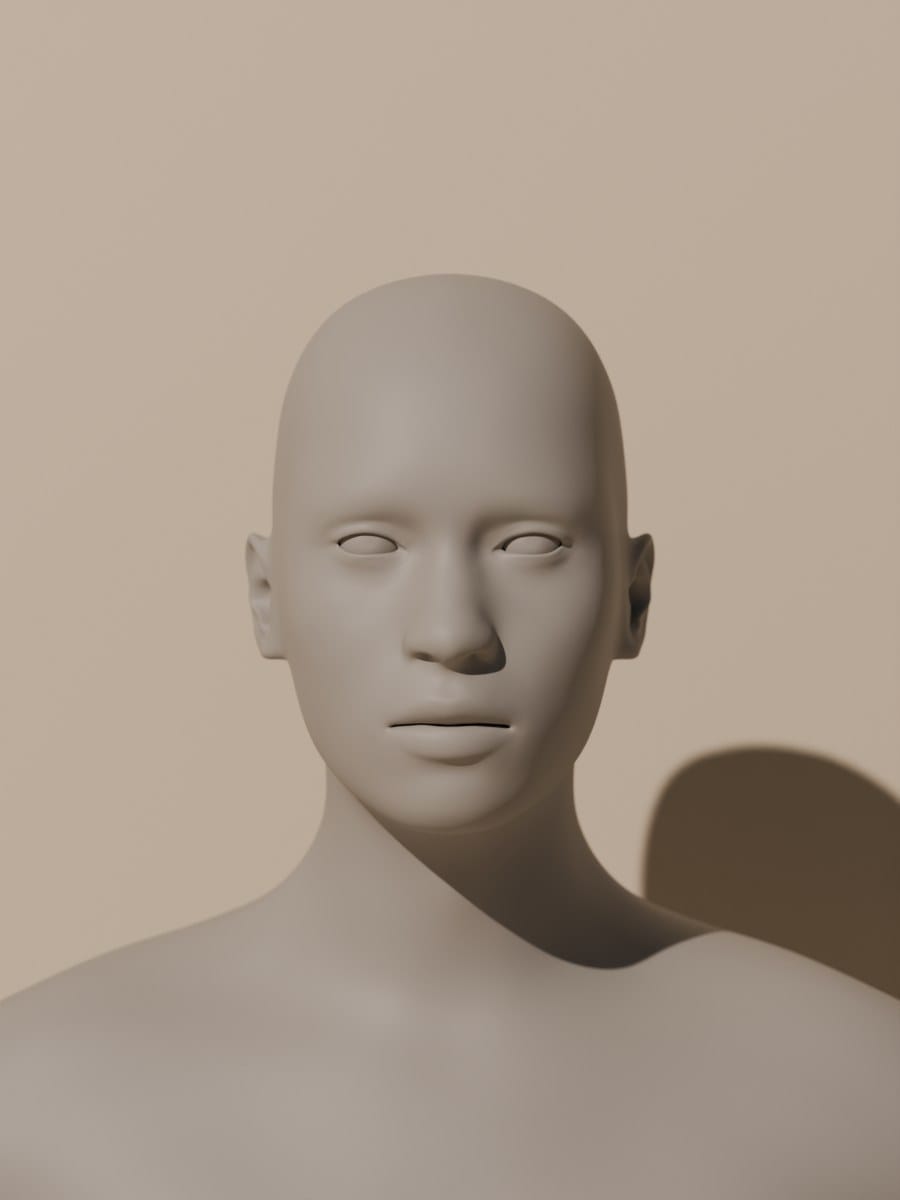 Render of a grey clay head. Hard sun from the front and side, crisp cast shadows on the neck and the head's shadow drawn on a pale wall just behind.
